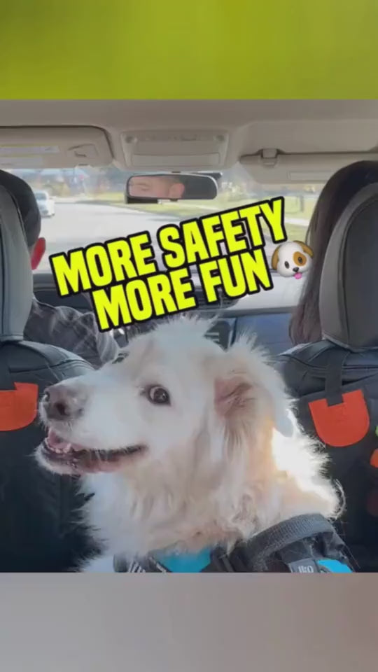1.mp4